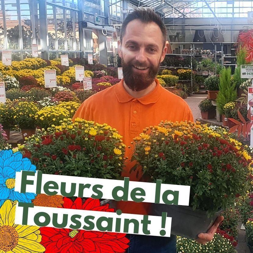 L'arrivée des fleurs de la Toussaint